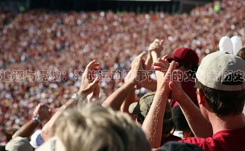 新宝gg娱乐 百度网盘追逐与竞技：狗的运动赛事背后的文化与历史