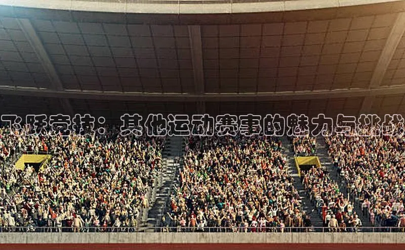 新宝gg一键登录元隆雅图飞跃竞技：其他运动赛事的魅力与挑战