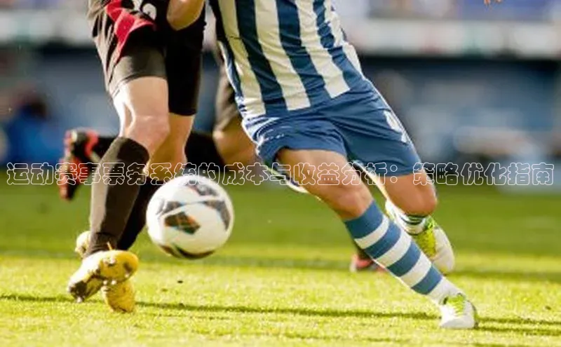 运动赛事票务系统的成本与收益分析：策略优化指南