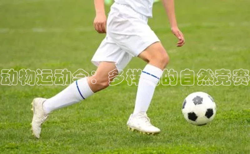 动物运动会：多样化的自然竞赛