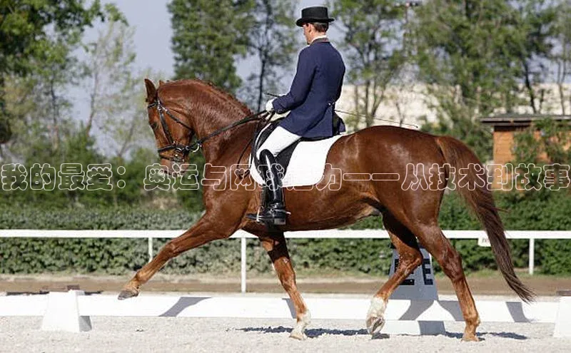 我的最爱：奥运与网球魅力——从技术到故事