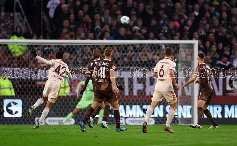 体操类赛事的多样运动项目：从技巧到全能的竞技魅力