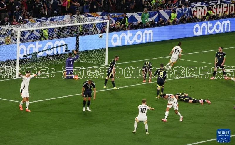 视觉盛宴：运动赛事中的图文并茂图片欣赏