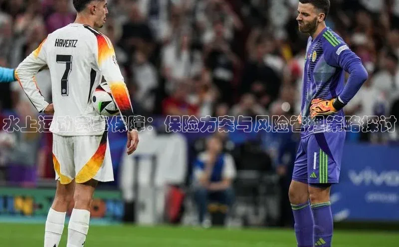 水上运动赛事保障：保险方案与风险管理策略探讨