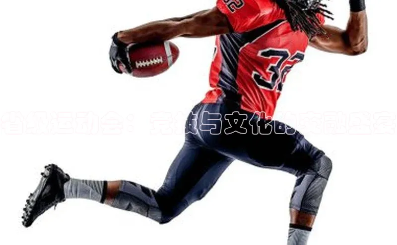 省级运动会：竞技与文化的交融盛宴