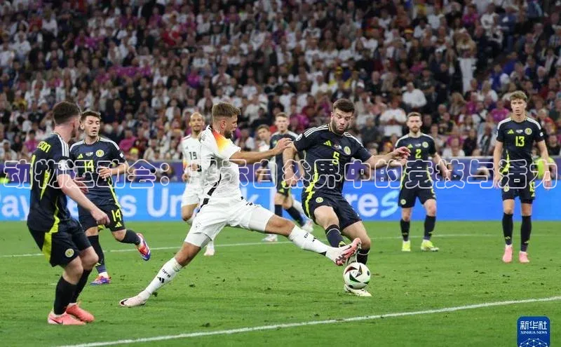 动物运动会：展示自然界中的竞技与活力