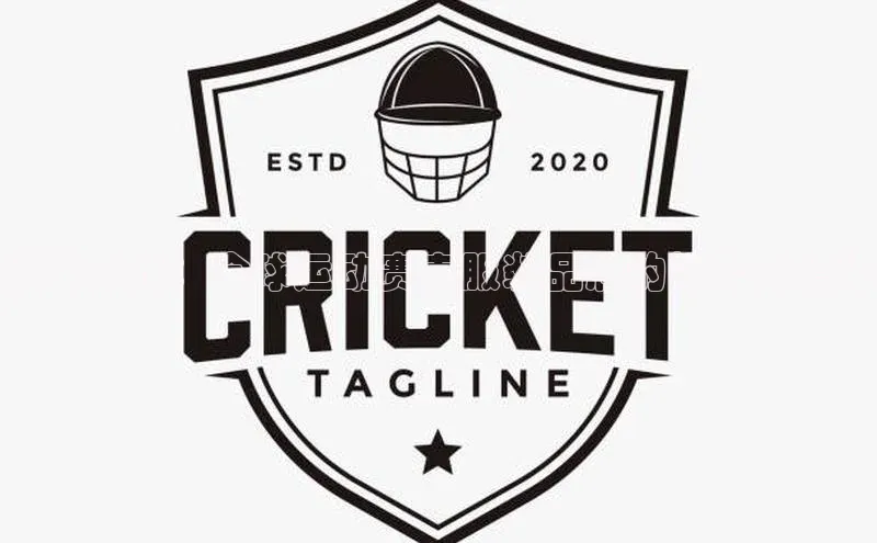 冠军之路：全球运动赛事服装品牌的崛起与趋势