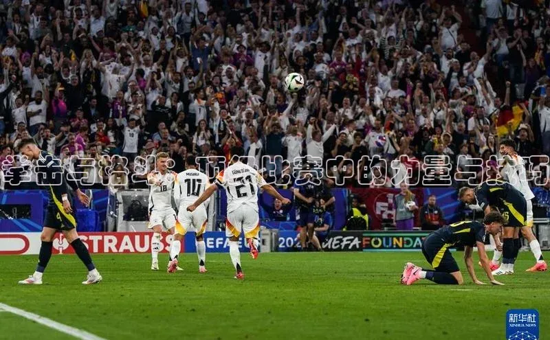 拳击与格斗：顶级比赛中的力量与技巧