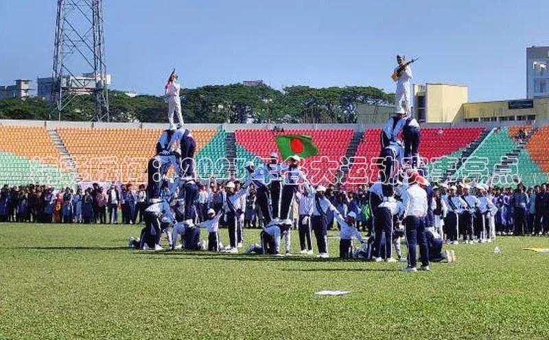 精彩瞬间：2023年各大运动赛事亮点