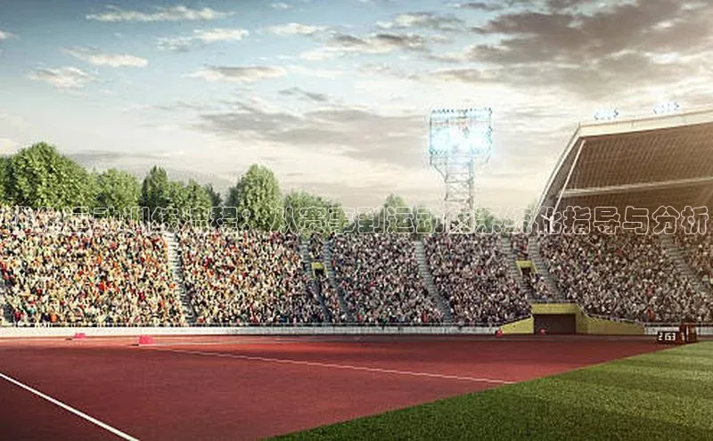 优化运动训练流程：从赛事到运动的系统化指导与分析