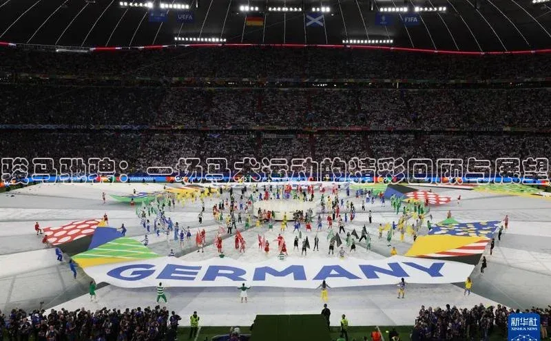 骏马驰骋：一场马术运动的精彩回顾与展望