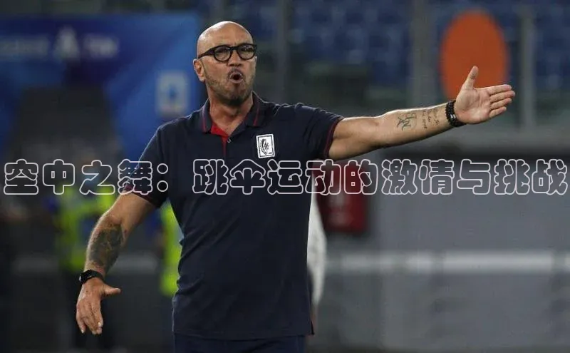 空中之舞：跳伞运动的激情与挑战