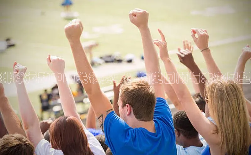 新宝网站登录入口
